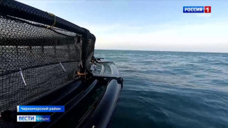 Объемы производства рыбы в республике бьют все рекорды