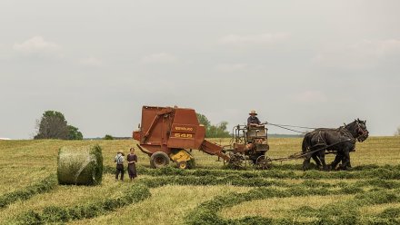 Агропромышленный комплекс Крыма получил рекордную сумму льготных кредитов