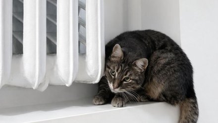 В Симферополе продлили отопительный сезон до 27 апреля