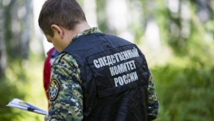 Более 480 уголовных дел возбуждено против руководства Украины и радикалов