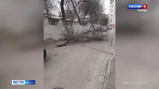 Непогода обрушилась на полуостров