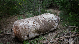 500-килограммовую бомбу нашли в лесу Севастополя (ВИДЕО)