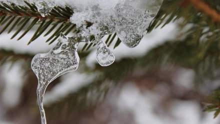 Ялтинским школьникам разрешили не приходить на занятия из-за снегопада