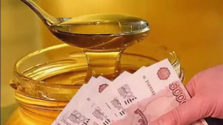 Несладкая покупка: более 800 тысяч рублей украла мошенница у пожилой женщины, которая хотела купить мёд