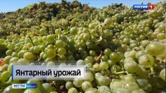   Сегодня исполняется 180 лет со дня рождения легендарного князя Льва Голицына — основателя крымского виноделия и истинно преданного своему делу мастера