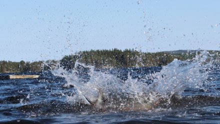 Крымская молодёжь стала чаще пренебрегать безопасностью на водоёмах 
