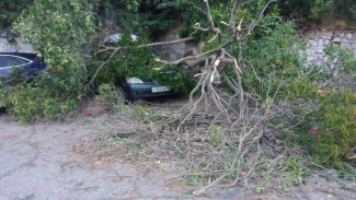 Шесть машин пострадали из-за шторма в Ялте