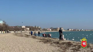 Гендиректора фирмы в Евпатории уличили в афере на 172 миллиона рублей при реконструкции набережной и сквера