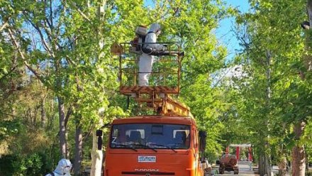 В Саках обработали парк от вредителей