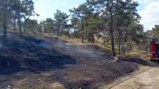  Пожар в селе Белоглинка локализовали на площади 2,8 га