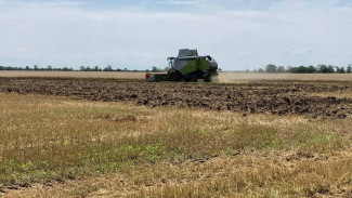 Урожай зерновых оказался под угрозой из-за ливня в Керчи