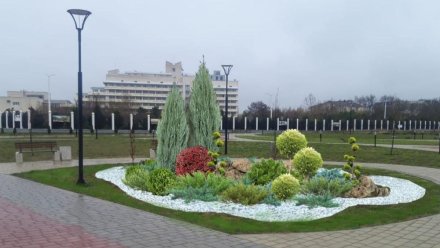 Растения для клумбы в городе Саки обошлись в 200 тысяч рублей