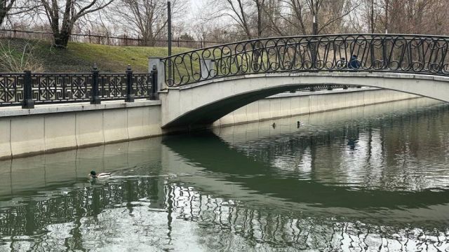 В Симферополе завершают расчистку русла Салгира