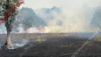 Сухая трава горит также в Керчи, в районе Мичурино