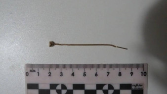 На этой неделе профессиональный праздник отметили служащие войск национальной гвардии России