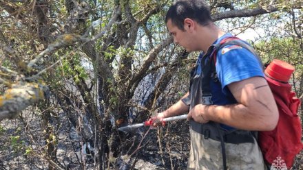 Более 50 человек и 16 единиц техники привлечено к тушению пожара в Симферопольском районе