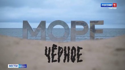 «Вести Крым» вышли в финал престижного Всероссийского конкурса «ТЭФИ»