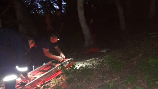 Туристы из Санкт-Петербурга отравились грибами, которые нашли в горах Крыма