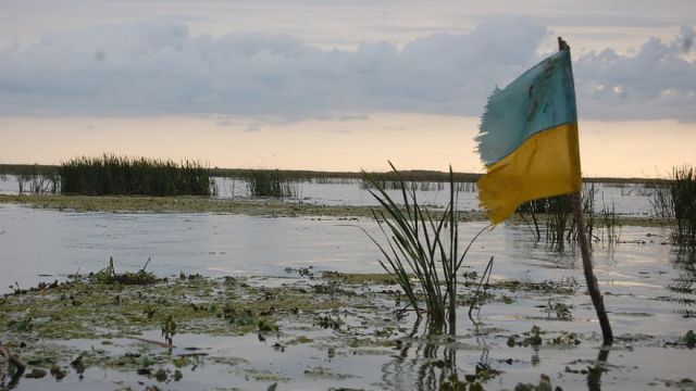 Украине предсказали обрушение фронта уже этим летом