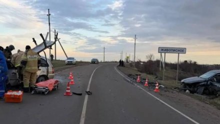 В ДТП под Симферополем пострадали четыре человека: Среди них двое детей