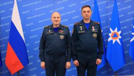 Сотрудникам ГУ МЧС России по Крыму вручили государственные награды 