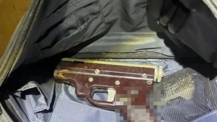 Житель Керчи хранил дома взрывные устройства и арсенал оружия