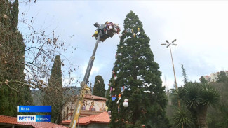Гигантский секвойядендрон украсили к Новому году в Крыму