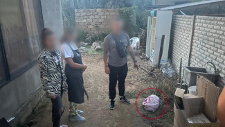 «Овощного вора» задержали в Сакском районе