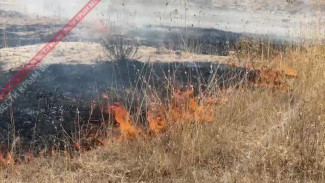  Сухая трава загорелась в Симферопольском районе на площади 200 квадратных метров