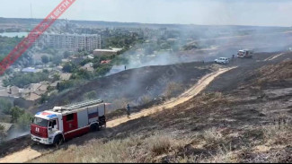 Спасатели продолжают тушить пожар на горе Митридат в Керчи