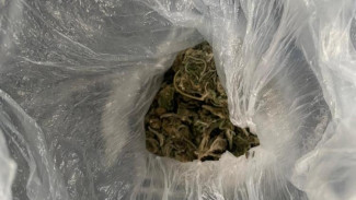 Полицейские задержали иностранца, который сбывал наркотики в Сакском районе 