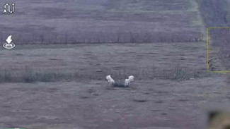 В Запорожской области расчёт гаубицы Д-30 группировки войск «Днепр» уничтожил боевиков ВСУ в опорном пункте 