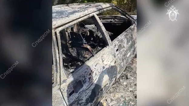 Житель Алушты пытался сжечь в автомобиле четырёхлетнего сына (ВИДЕО)