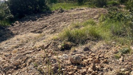 В Севастополе задержали женщину, повредившую объект археологического наследия