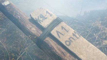 В горах Крыма горел лес из-за упавшей опоры ЛЭП