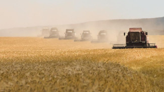 В Крыму начался сев озимых зерновых культур