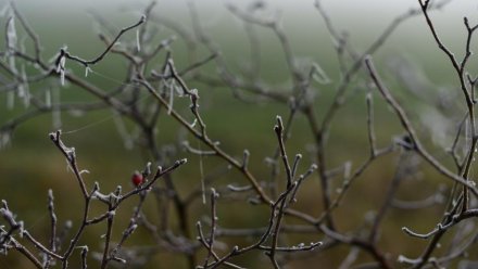 Синоптики прогнозируют похолодание в Крыму 