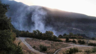 Около 150 пожаров зарегистрировали в Крыму за неделю