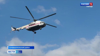  Сразу два крупных пожара произошли сегодня в Симферопольском районе — в селах Трехпрудное и между Краснолесьем и Клиновкой