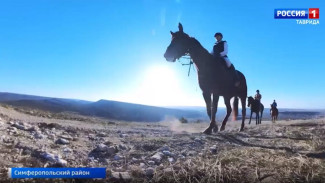 На Крымском полуострове набирает популярность конный спорт