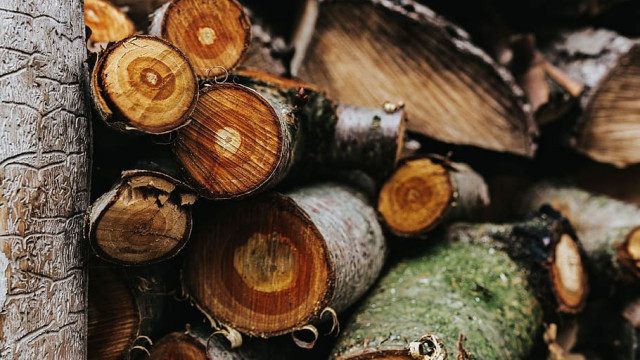 Симферополь отправил очередную партию дров бойцам в зону СВО