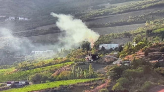 В борьбе с пожарами в Ялте подключили искусственный интеллект