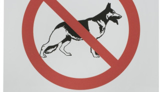 Большинство крымчан поддержали инициативу введения штрафов за самовыгул собак