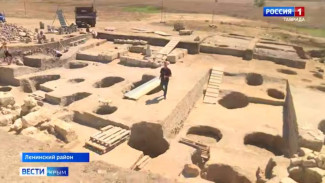 Крымские учёные обнаружили уникальные останки лошади во время раскопок в Ленинском районе