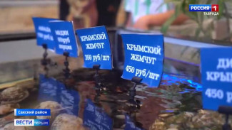 В Сакском районе проверили рестораны и точки фастфуда 