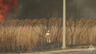 77 человек тушат горящий камыш под Феодосией