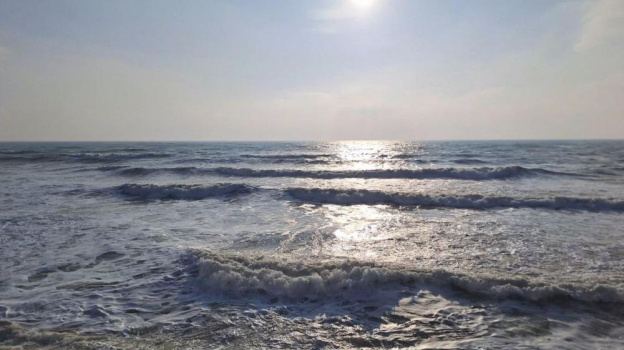 Морская вода у берегов Крыма прогрелась до +24°