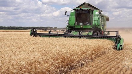 В Белогорском районе убрали урожай зерновых с площади почти 17 га