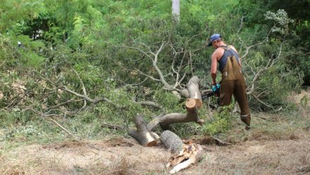 Керченские коммунальщики борются с последствиями ураганного ветра