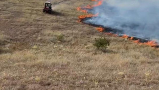 Пожар в Симферопольском районе локализовали на площади 250 Га